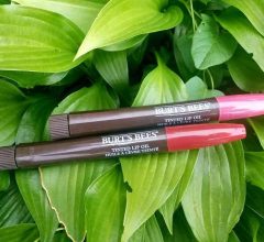 Burt’s Bees tinted lip oil